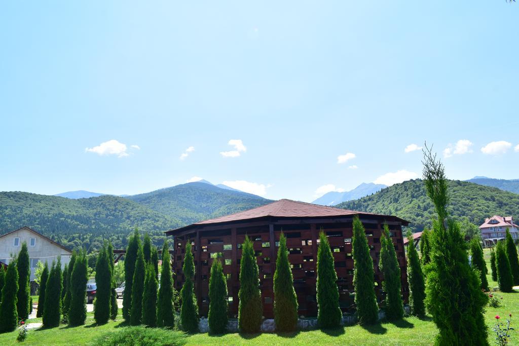 Pensiunea Mountain King ซิมบาตา เด ซุส ภายนอก รูปภาพ