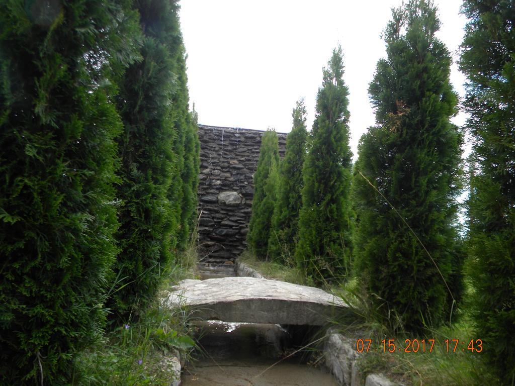 Pensiunea Mountain King ซิมบาตา เด ซุส ภายนอก รูปภาพ